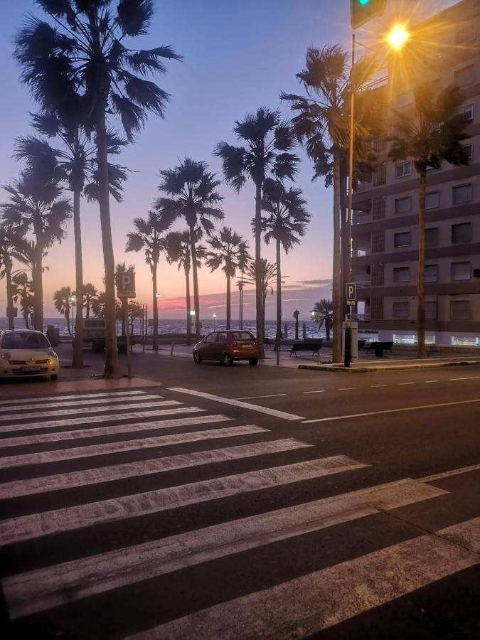 Palmeral Lara Casas *